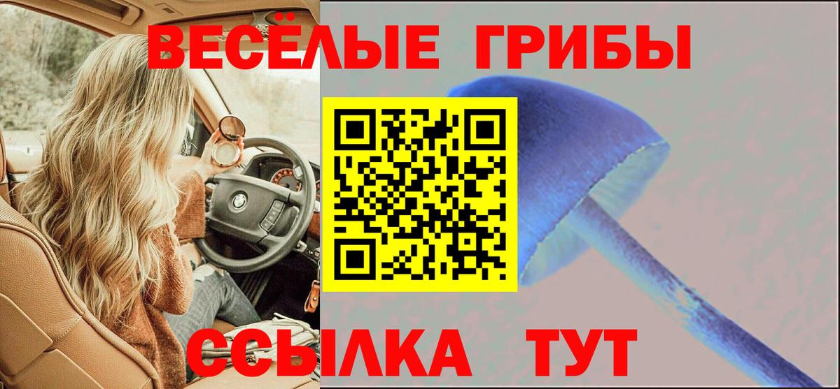 Галлюциногенные грибы ЛСД  Вход с VPN  Архангельск  Псилоцибиновые грибы Psilocybine cubensis 